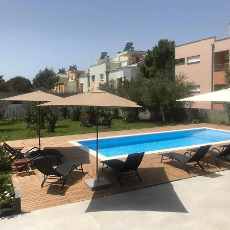 Petar's Dream 3 *