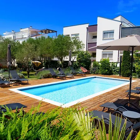 Petar's Dream 3 *