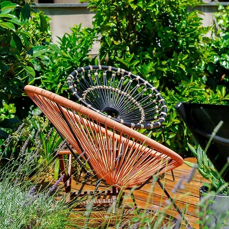 Petar's Dream 3 Privlaka (Zadar)