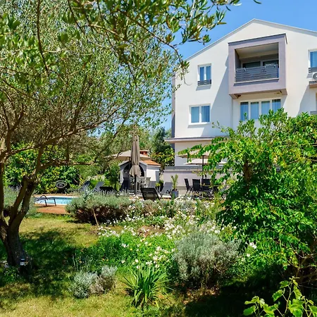 Petar's Dream 3 * 프리블라카