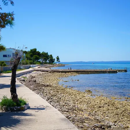 Petar's Dream 3 Apartman