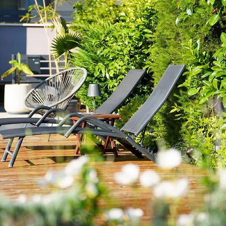 Petar's Dream 3 * Privlaka