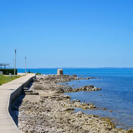 Petar's Dream 3 *