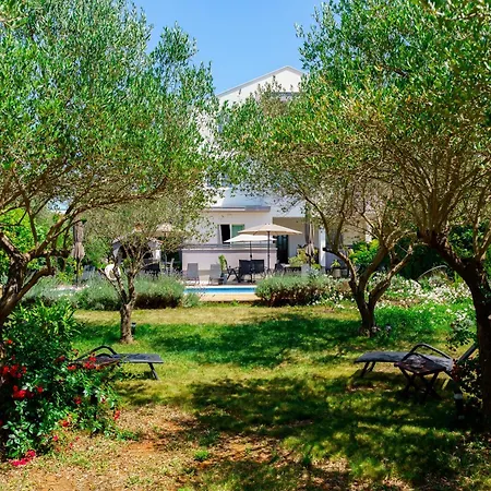 Petar's Dream 3 Apartman