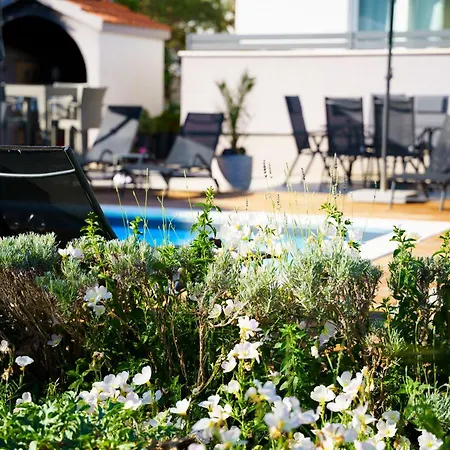 Petar's Dream 3 Privlaka