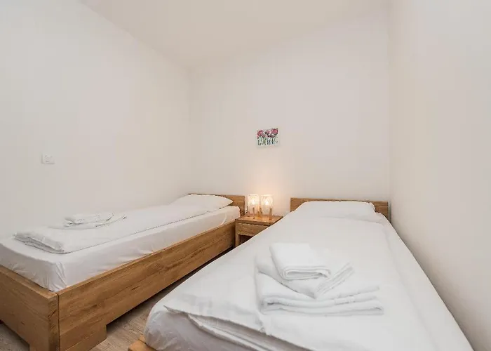 Petar's Dream 3 Privlaka