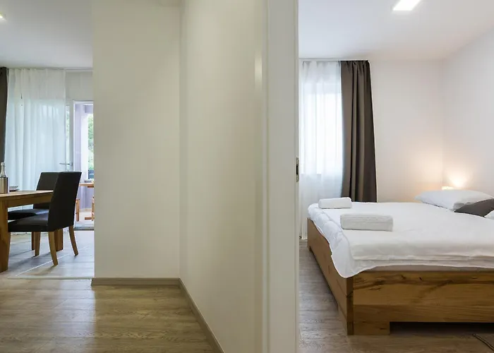 Petar's Dream 3 * Privlaka