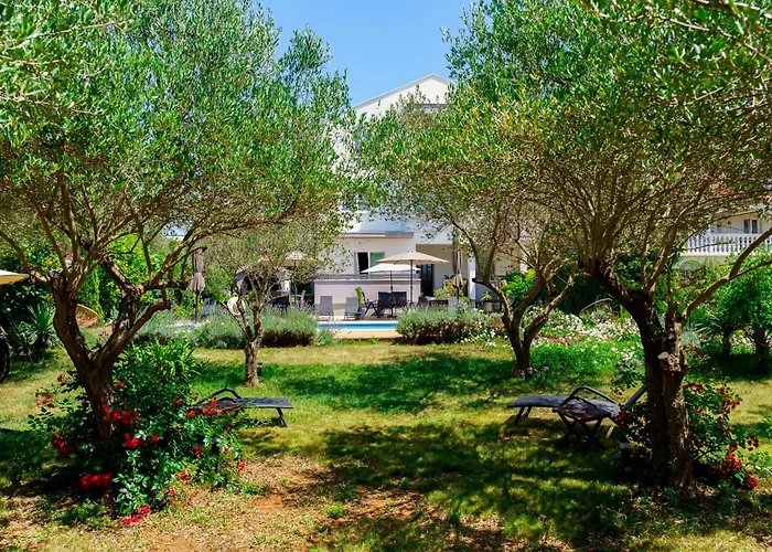 Petar's Dream 3 Apartman