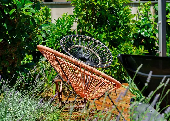 Petar's Dream 3 Привлака