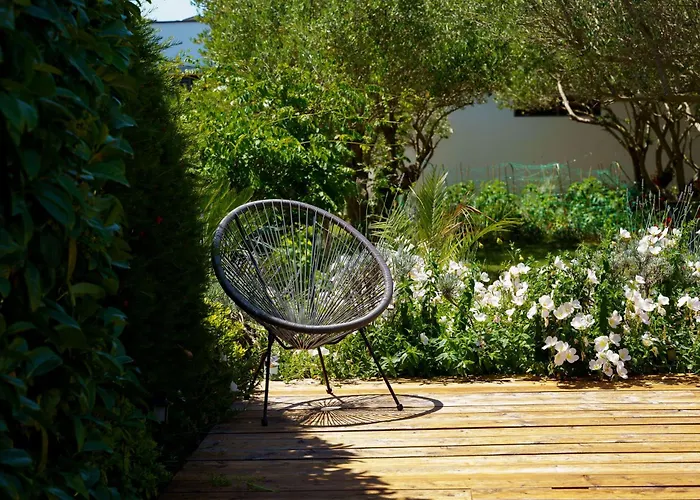 Petar's Dream 3 Privlaka