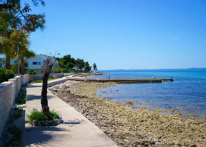 Petar's Dream 3 Апартаменты