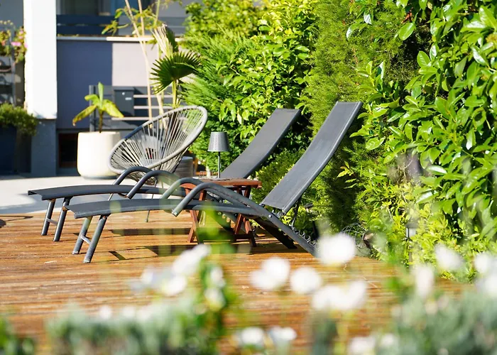 Petar's Dream 3 * Privlaka