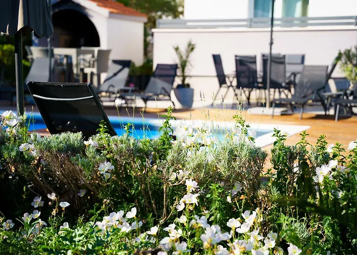 Petar's Dream 3 Privlaka