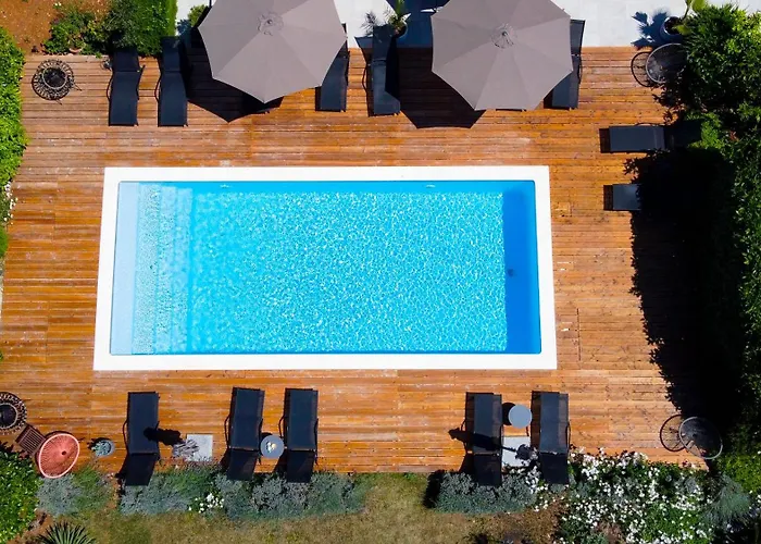 Petar's Dream 3 * Privlaka